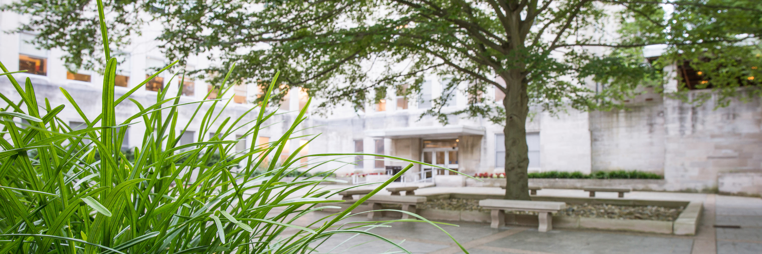 Ballantine Hall courtyard