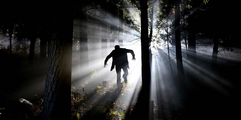 A silhouette of a monster rambling through dark woods.